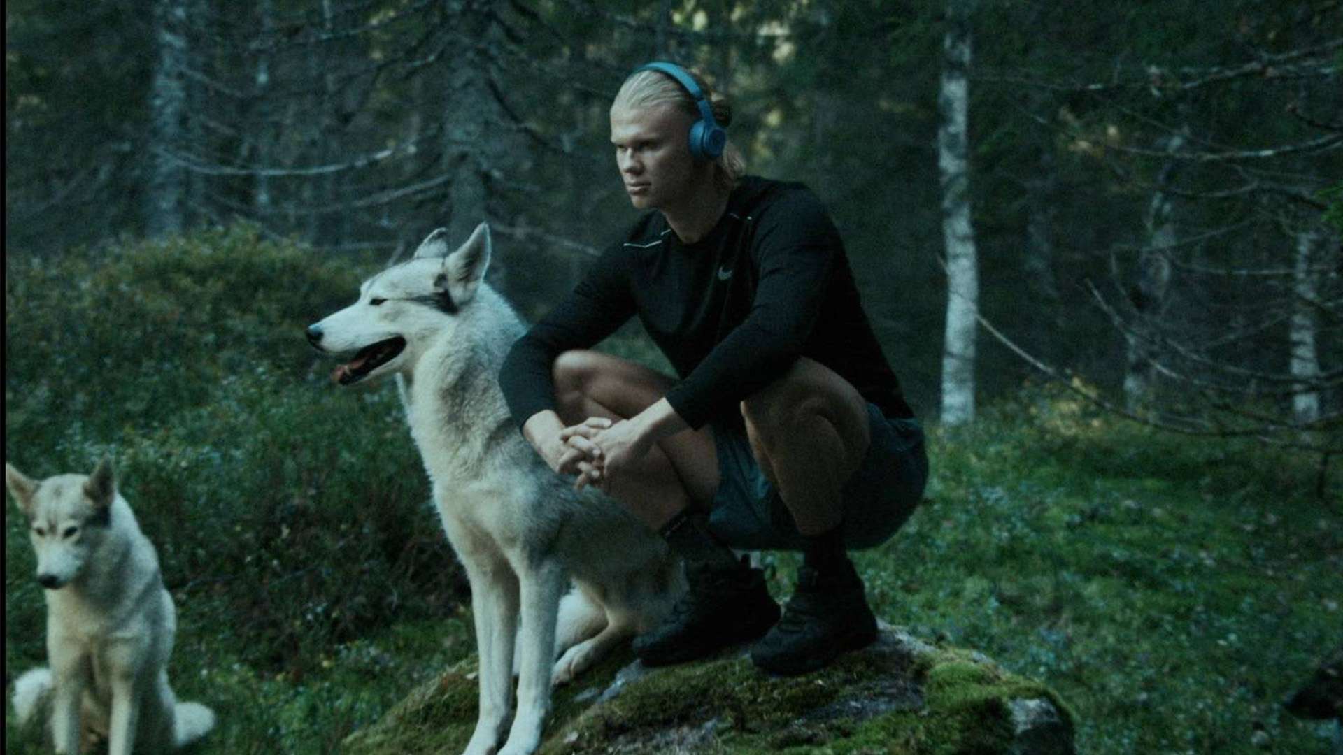 拉执掌下的 拉执掌下的